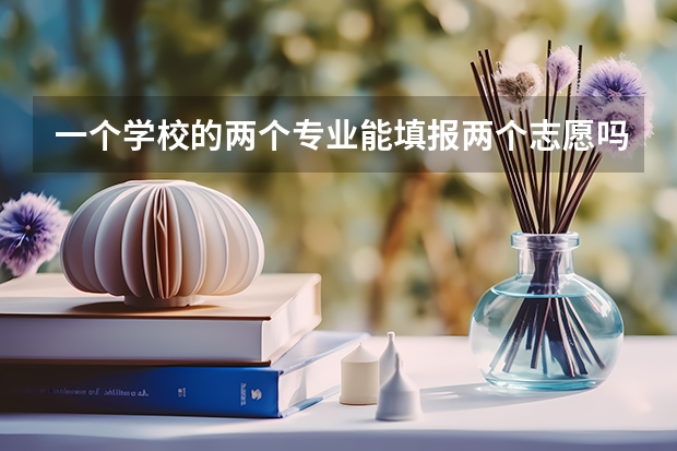 一个学校的两个专业能填报两个志愿吗？