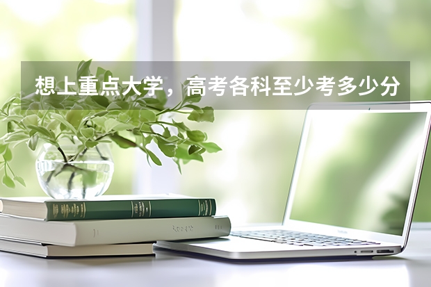 想上重点大学，高考各科至少考多少分才行